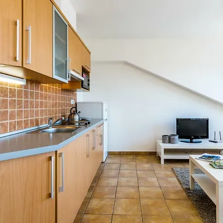 Apartment Kotevni *