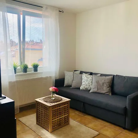 Apartment Kotevni *